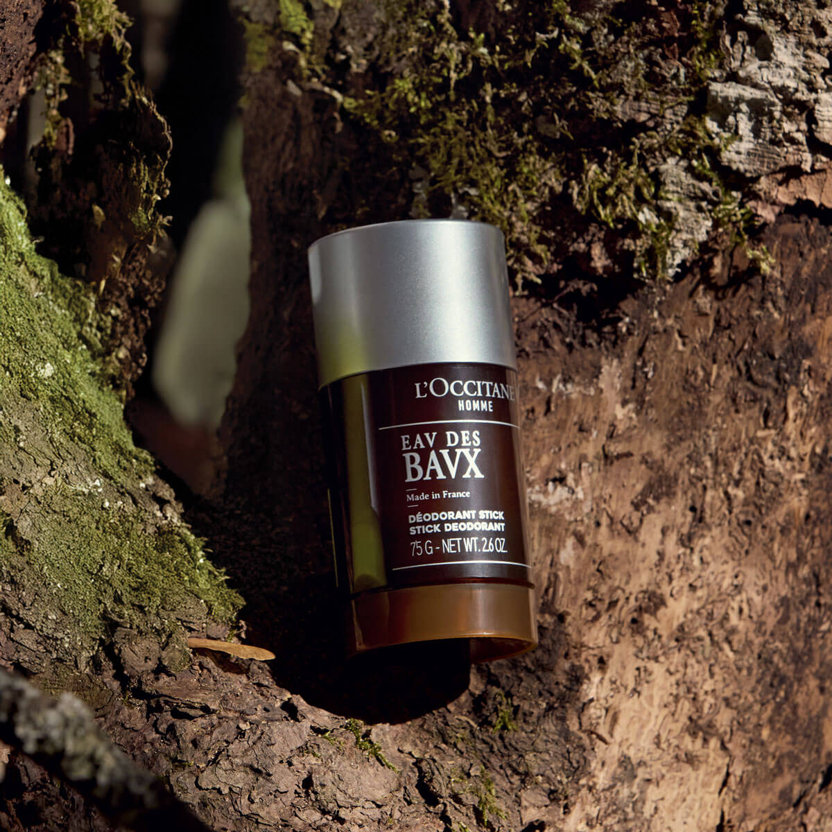Dezodorant v stiku za moške L'Occitane