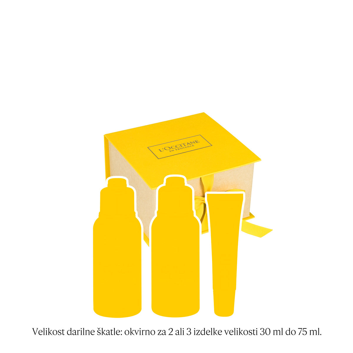 Darilna škatla – mini premium