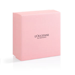 2025 Spring & Summer Mini Travel Box