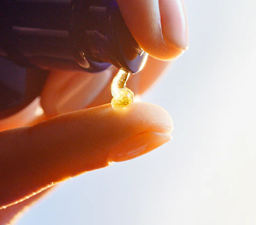 Izvleček iz immortelle je glavna sestavina izdelkov iz L’Occitanove kolekcije Reset Immortelle 