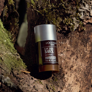 Dezodorant v stiku za moške L'Occitane