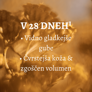 Sestavina immortelle Božanske kreme za obraz. V 28 dneh: vidno gladkejše gube ter čvrstejša koža in zgoščen volumen