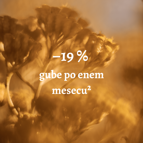 Immortelle - sestavina Božanske kreme za obraz -19 % gube po enem mesecu