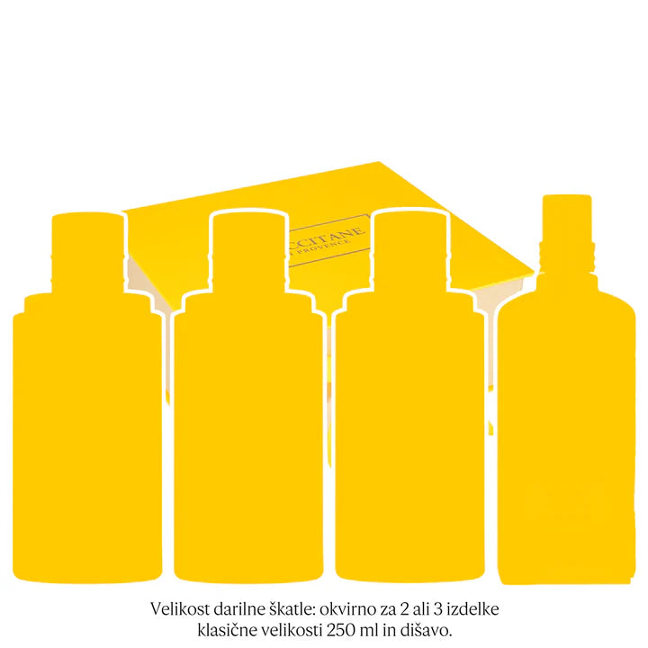 Darilna škatla – velika