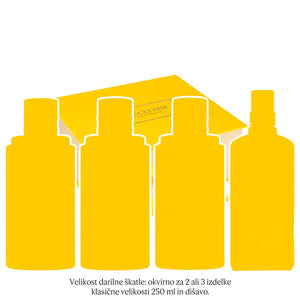 Darilna škatla – velika