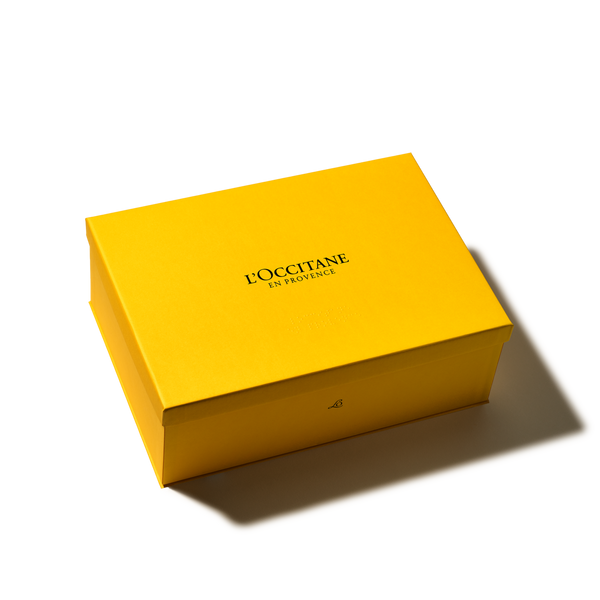 LARGE GENERIC BOX 2026