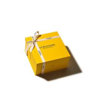 MEDIUM GENERIC BOX 2026