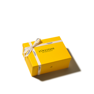 SMALL GENERIC BOX 2026