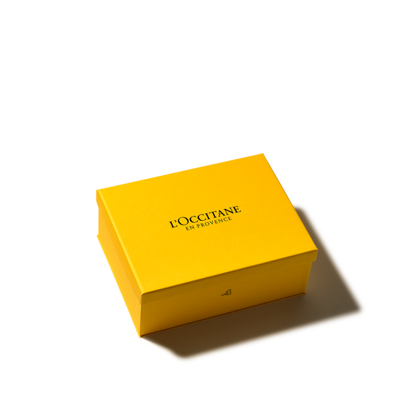 SMALL GENERIC BOX 2026