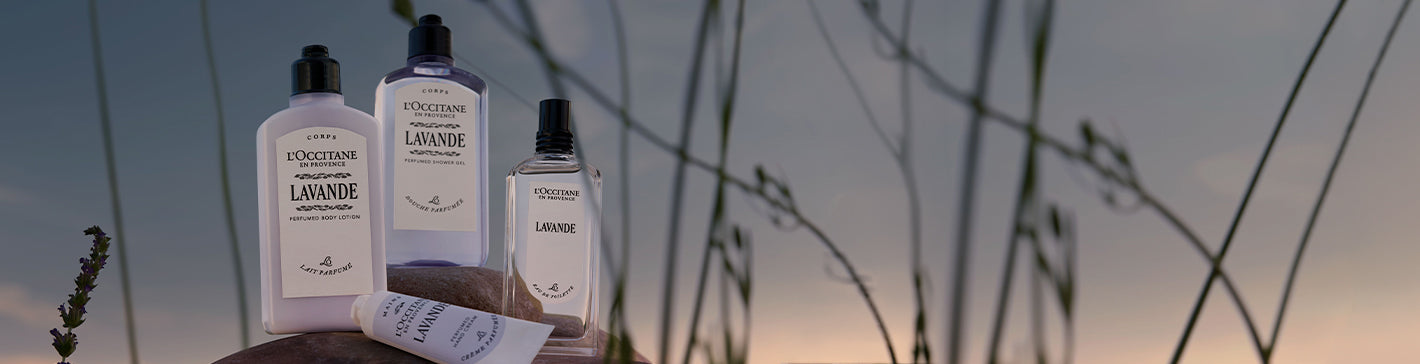 L’Occitane kolekcija Lavande – Prava sivka – Provansa 