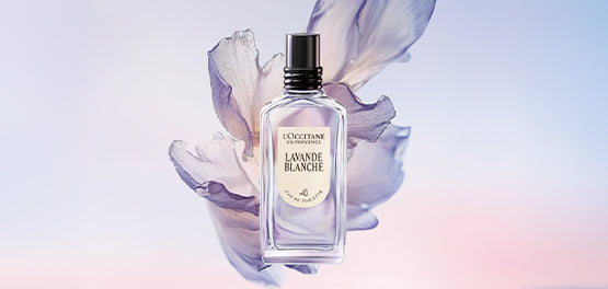 Dišavna kolekcija Lavande Blanche – L’Occitane 