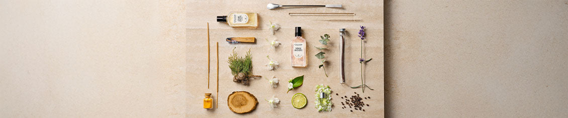 Dišavne note L’Occitane dišavnih kolekcij so lesne, začimbne in cvetlične note 