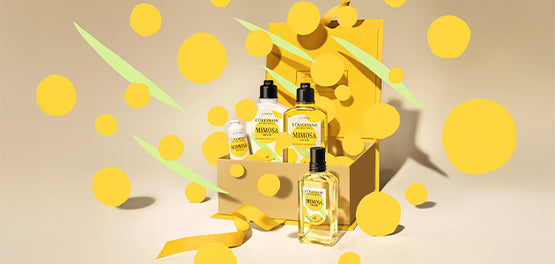 Izdelki iz dišavne kolekcije Mimosa Verveine v darilni škatli in grafičnimi rumenimi krogi, ki uprizarjajo provansalsko zimsko sonce. 