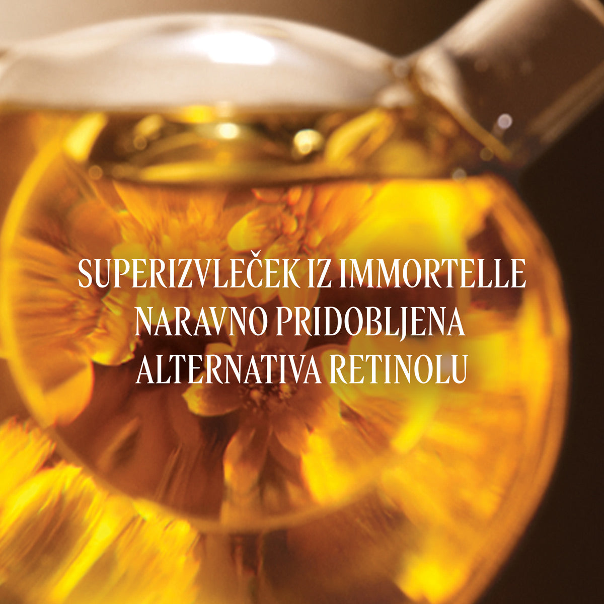 Olje za pomlajeno kožo telesa Immortelle in Karite L'Occitane od blizu