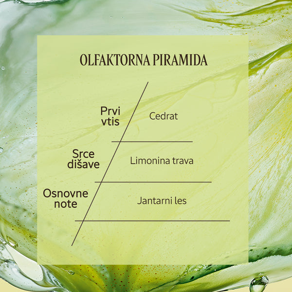 Dišavna piramida Eau de Toilette Cédrat | L'Occitane