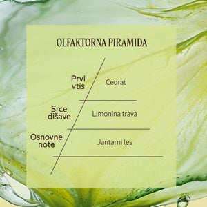 Dišavna piramida Eau de Toilette Cédrat | L'Occitane