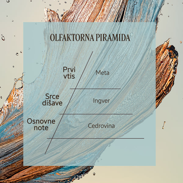 Dišavna piramida Eau de Toilette Cèdre Gingembre | L'Occitane