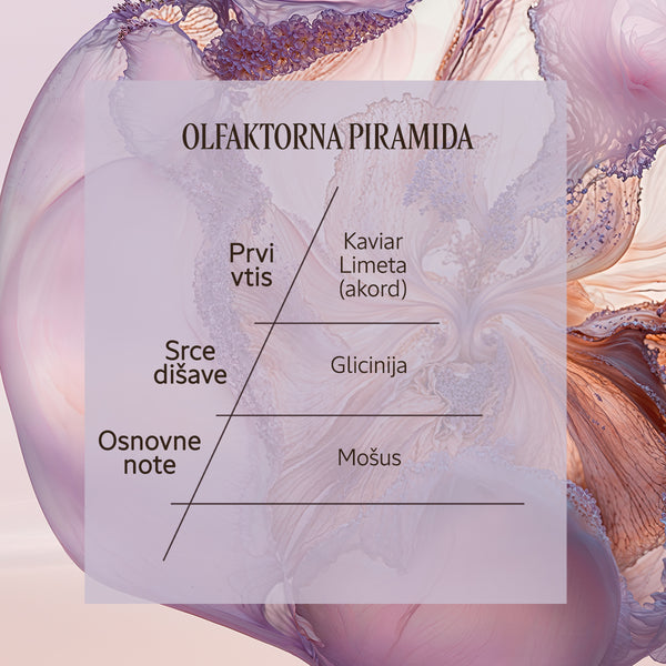 Dišavna piramida Eau de Parfum Glycine | L'Occitane