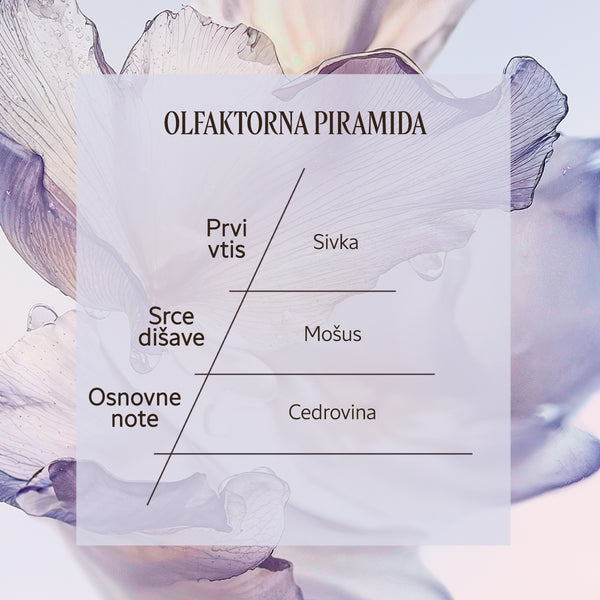 Dišavna piramida Eau de Toilette Lavande Blanche | L'Occitane