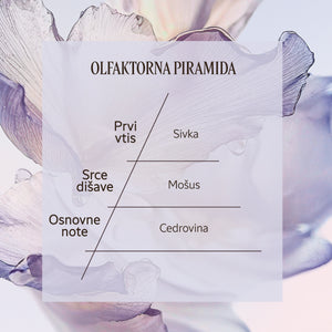 Dišavna piramida Eau de Toilette Lavande Blanche | L'Occitane