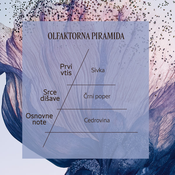 Dišavna piramida Eau de Toilette Lavande Poivre Noir | L'Occitane