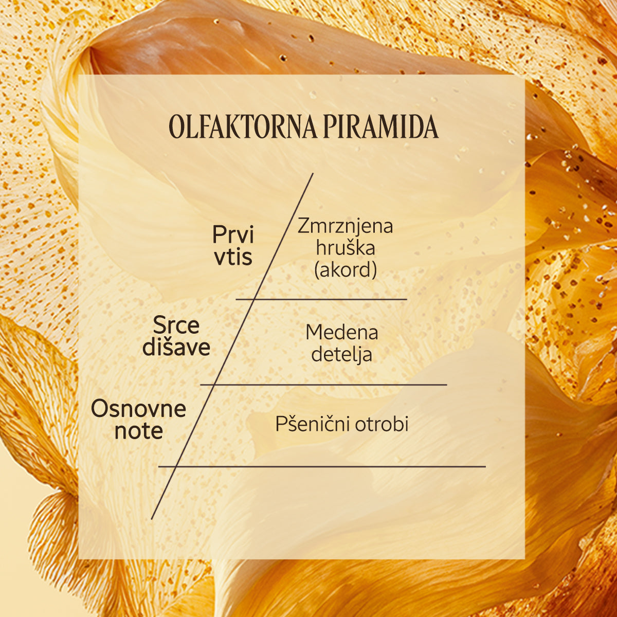 Dišavna piramida Eau de Parfum Mélilot | L'Occitane