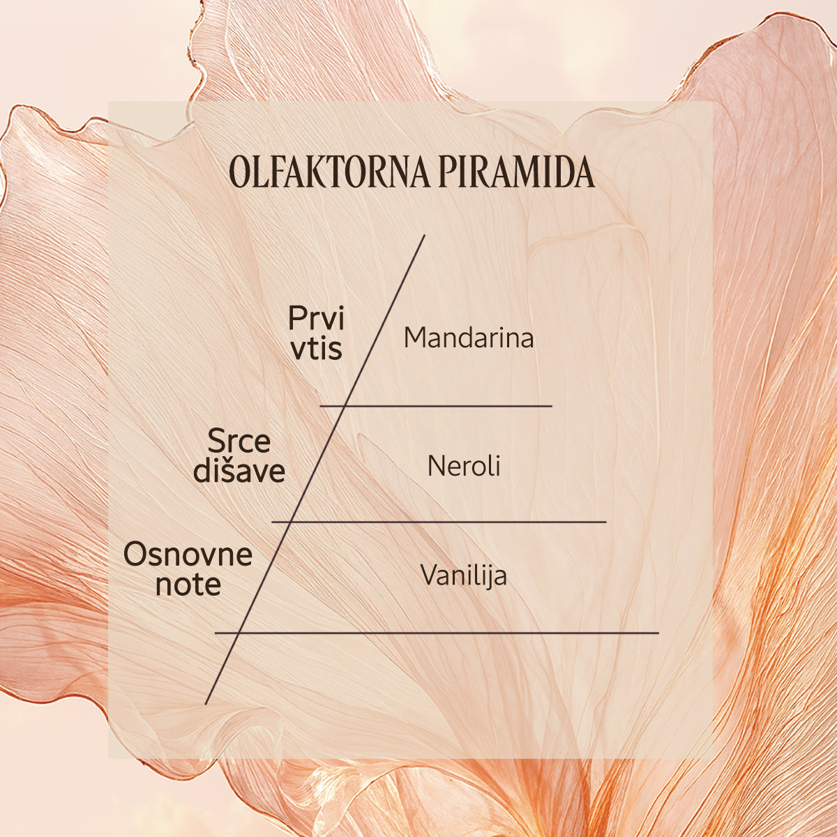 Dišavna piramida Eau de Toilette Néroli Orchidée | L'Occitane