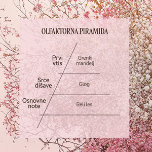 Dišavna piramida Eau de Parfum Noble Épine | L'Occitane