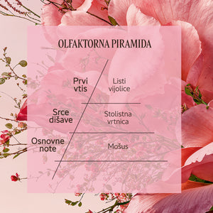 Dišavna piramida Eau de Toilette Rose | L'Occitane