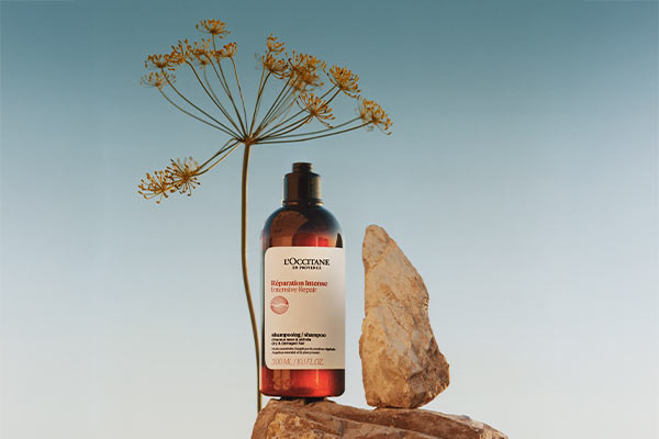 L'Occitane-Kolekcija za intenzivno obnavljanje poškodovanih las