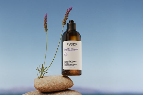 L'Occitane-kolekcija za ravnotežje lasišča