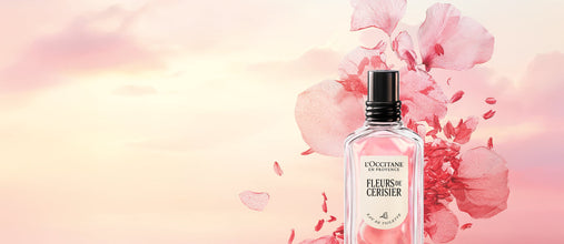 Dišavna kolekcija Flora Orchestra L’Occitane - Fleurs Cerisier.