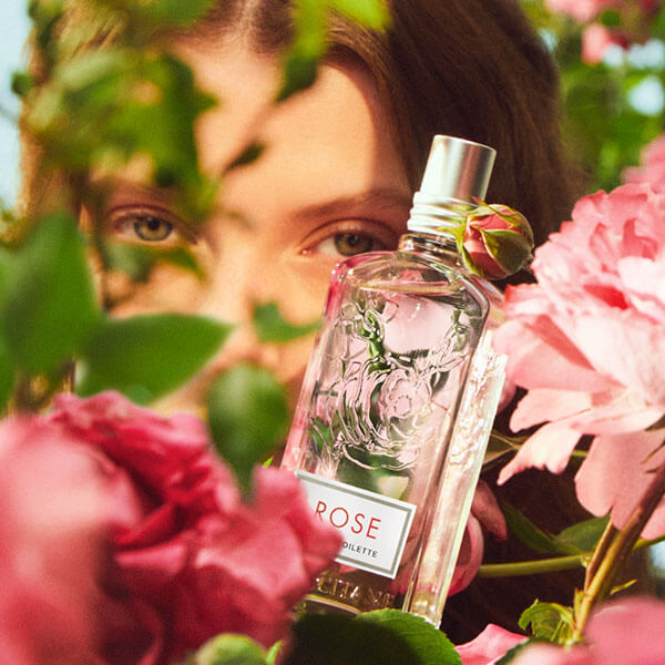L’OCCITANE parfum: Eau de Toilette Rose – Vrtnica