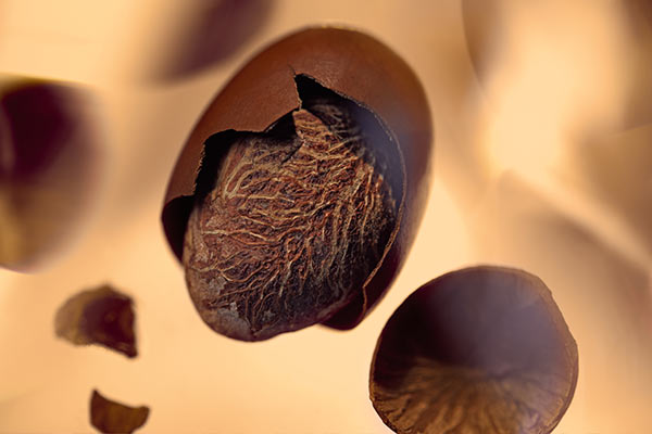 Sestavina Karitejevo maslo L'Occitane