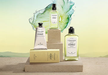 Moška kolekcija Cedrat