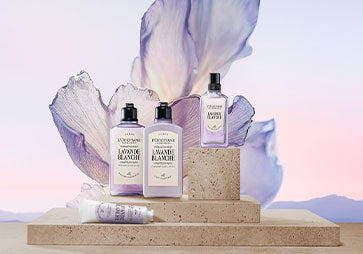 Dišavna kolekcija Flora Orchestra L’Occitane - Lavande Blanche.
