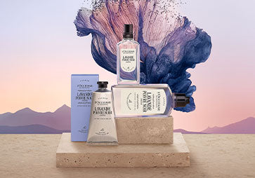 Dišavna kolekcija Flora Orchestra L’Occitane - Lavande Poivre Noir.