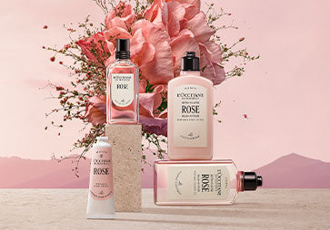 Dišavna kolekcija Flora Orchestra L’Occitane - Rose.