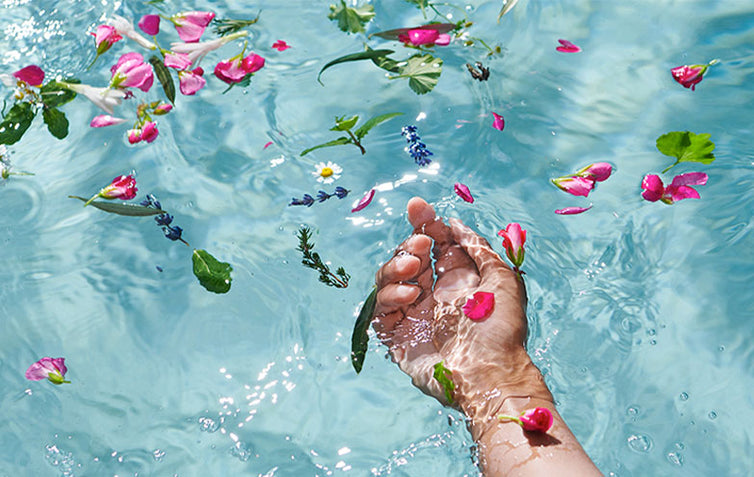 TRDI ŠAMPONI ZA LASE L’OCCITANE 