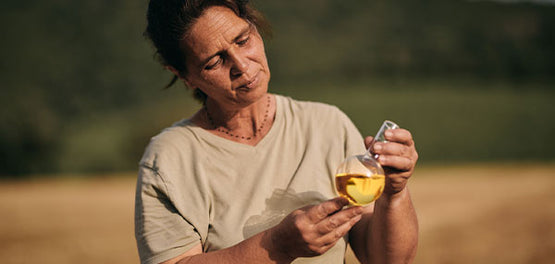 Izvleček cvetlice immortelle – L’OCCITANE 