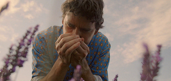 L’OCCITANE – moški na polju sivke 