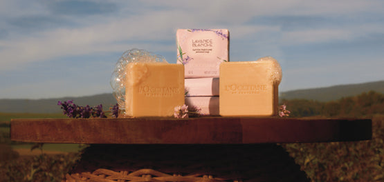 Trda mila za roke L'Occitane