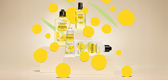 Postavljena L’occitanova dišavna kolekcija Mimosa Verveine, z grafičnimi rumenimi krogci, ki uprizarjajo provansalsko zimsko sonce. 