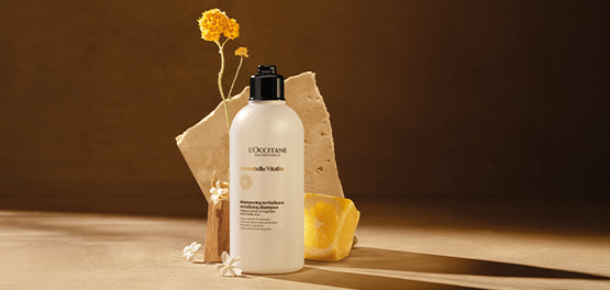 Revitalizacijski šampon za lase Immortelle Vitalité – L'Occitane Premium dišava po navdihu vrhunskih parfumov.