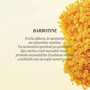 Grafika z opisom dišave kolekcije Flora Orchestra L'Occitane - Barbotine