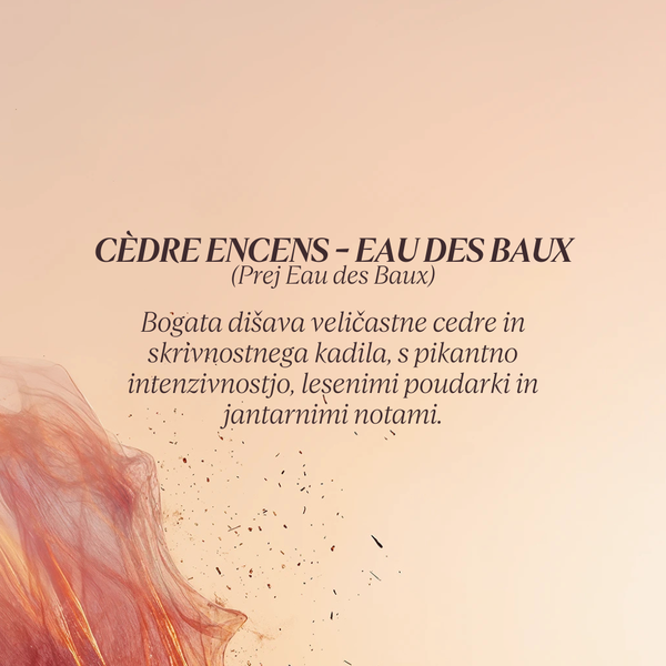 Grafika z opisom dišave kolekcije Flora Orchestra L'Occitane - Cedre Encens 