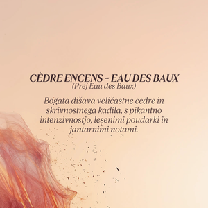 Grafika z opisom dišave kolekcije Flora Orchestra L'Occitane - Cedre Encens 