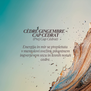 Grafika z opisom dišave kolekcije Flora Orchestra L'Occitane - Cedre Gingembre Cap Cedrat