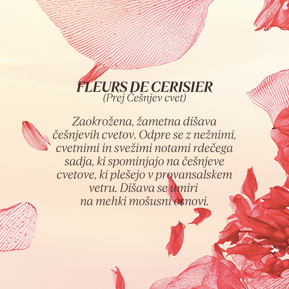 Grafika z opisom dišave kolekcije Flora Orchestra L'Occitane - Fleurs de Cerisier