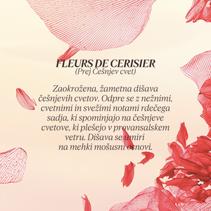 Grafika z opisom dišave kolekcije Flora Orchestra L'Occitane - Fleurs de Cerisier